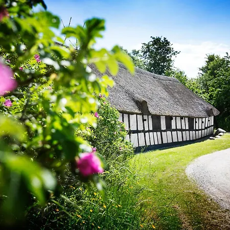Molslaboratoriet - Stuehuset Ebeltoft